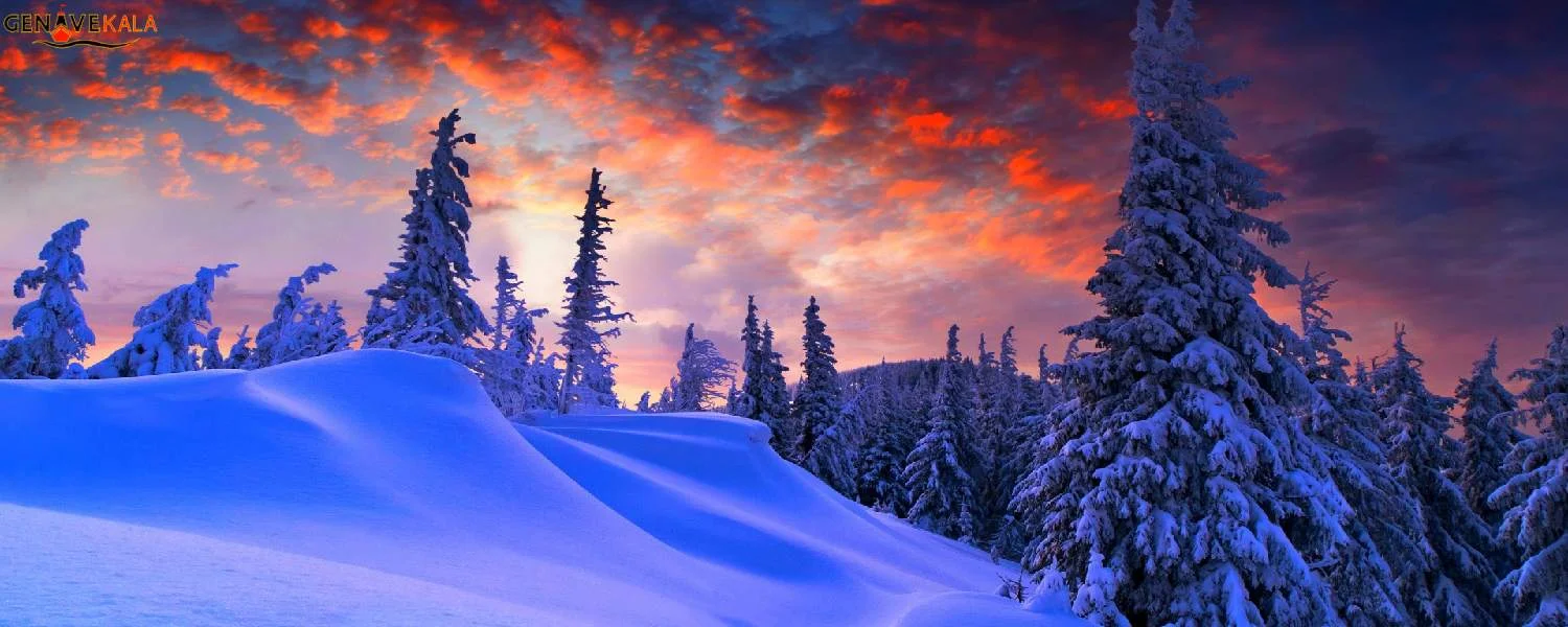 کیفیت تصویر 4K تلویزیون سامسونگ Q70D